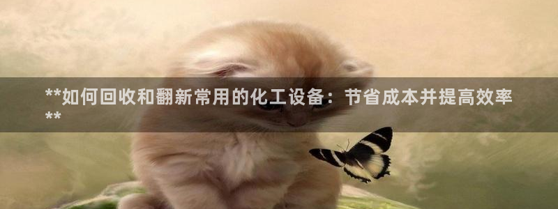 门徒娱乐官网下载