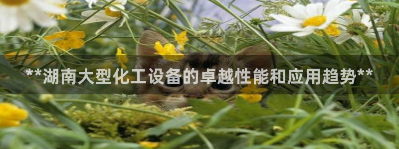门徒平台推 58534I 平台