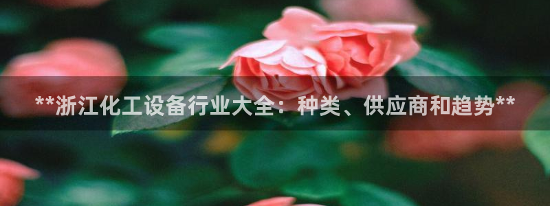 门徒娱乐平台代理怎么做