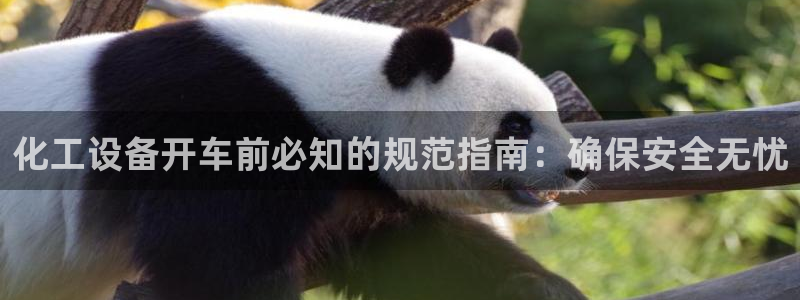 门徒娱乐平台登录1990官网下载