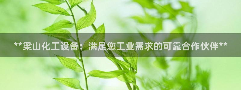 门徒娱乐的客服服务