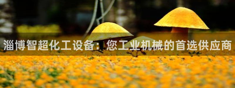 门徒平台官网首页