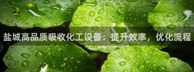 门徒平台代理