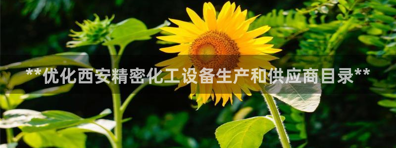 门徒平台注册登陆失败怎么回事