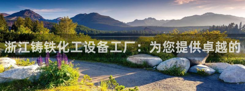 门徒平台登录注册流程
