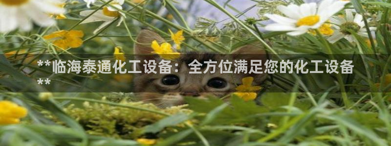 门徒平台代理怎么做