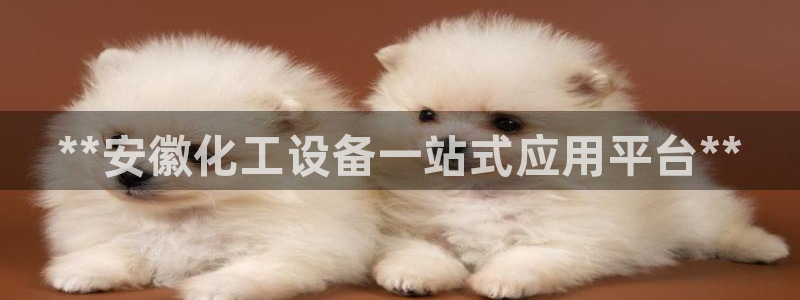 门徒娱乐怎么注册微信