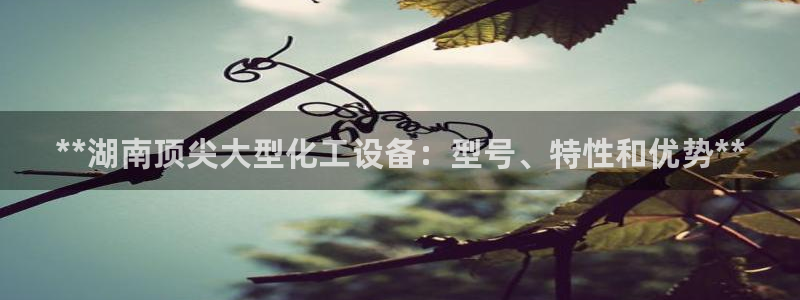 门徒娱乐集团