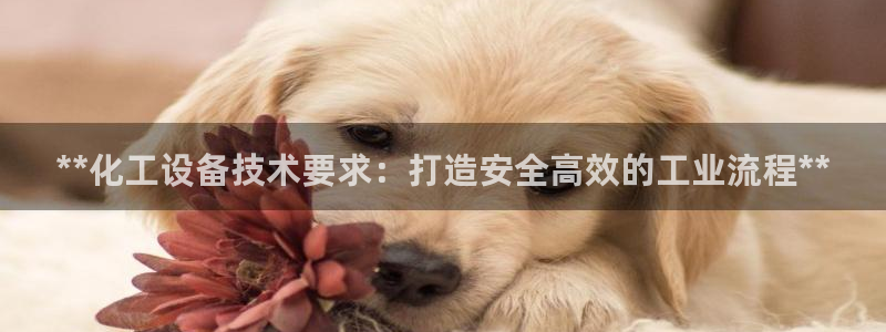 门徒娱乐创始人简介图片