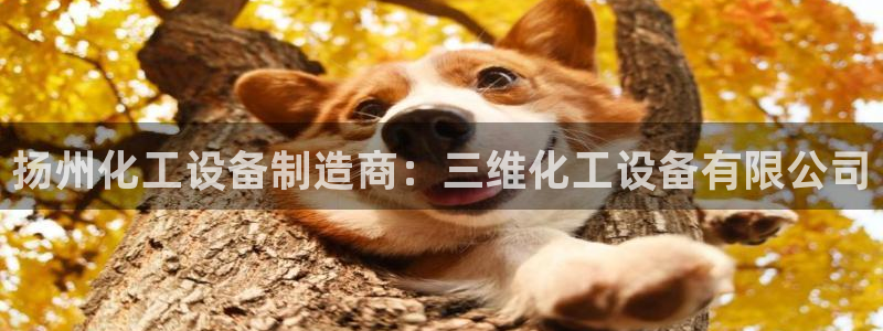 门徒平台测速网址是什么