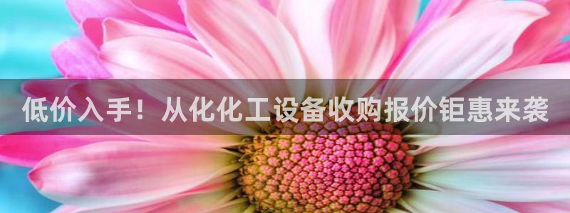 门徒娱乐注册官网入口
