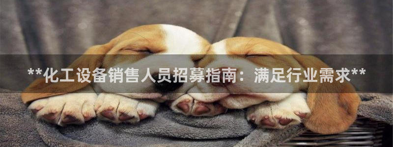 门徒平台登录注册