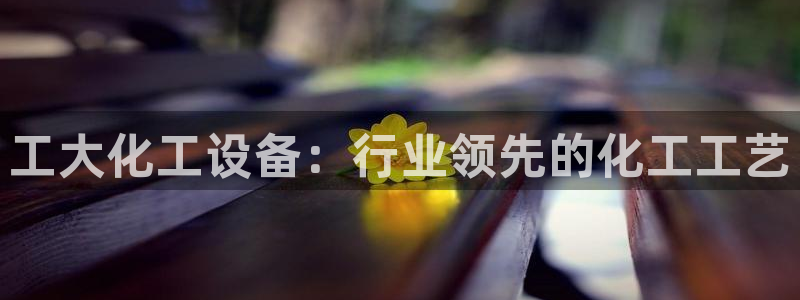 门徒平台注册中心官网查询