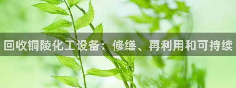 门徒娱乐项目介绍