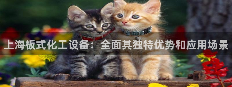 门徒娱乐登录地址在哪