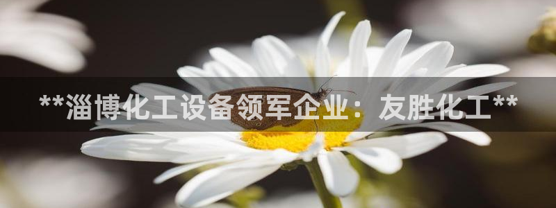门徒平台登录注册流程