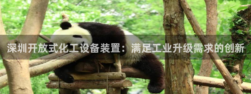 门徒娱乐总代理