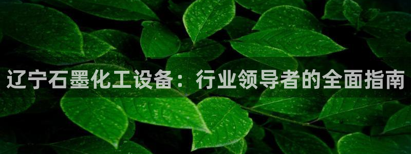 门徒平台登录注册流程
