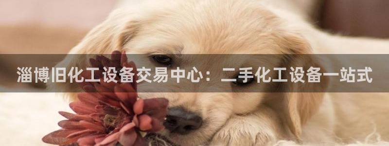 门徒娱乐的员工福利福利与价值