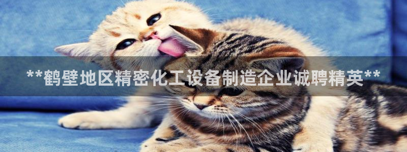 门徒娱乐29i娱乐判官333oo