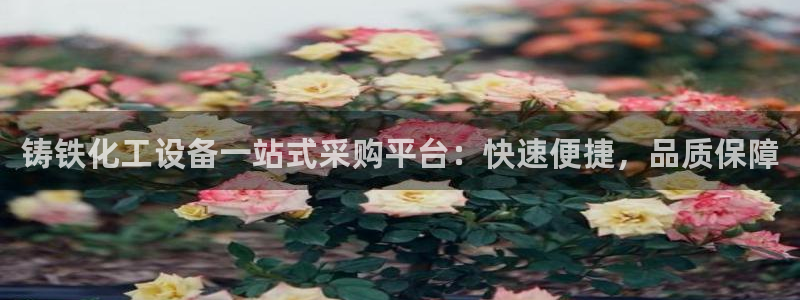 门徒平台开户