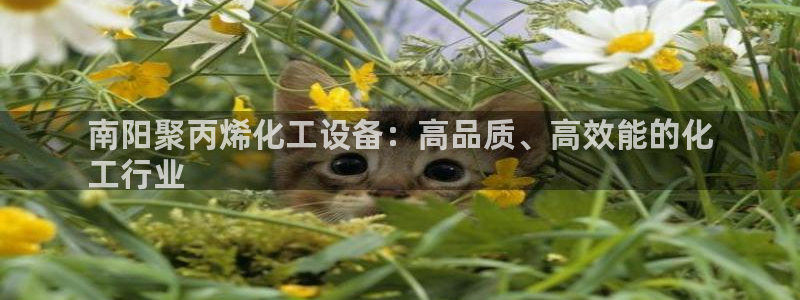 门徒平台家 5O6917 门徒