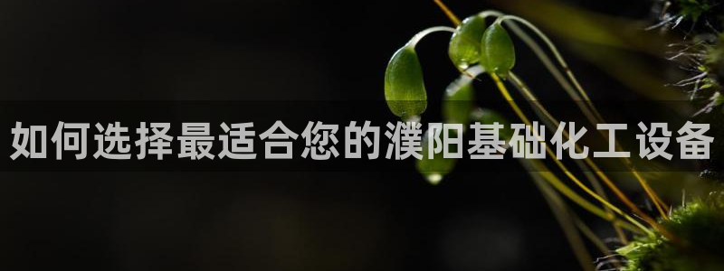 门徒在哪个平台播出