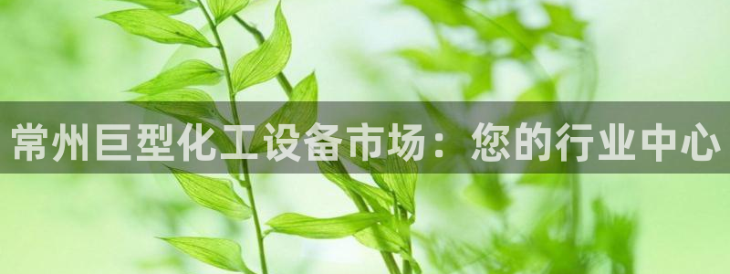 门徒娱乐的创始人背景