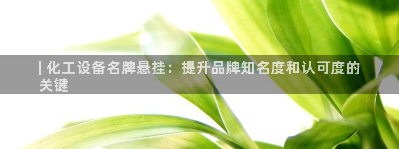 门徒娱乐平台登录不了