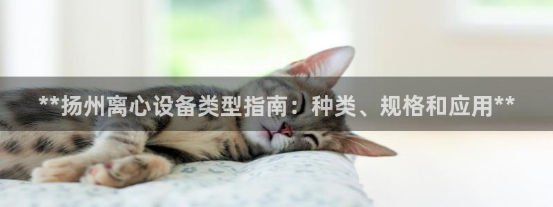 门徒平台服务站
