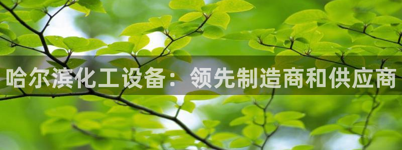 门徒平台注册中心在哪里