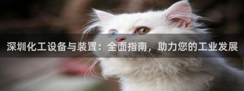 门徒娱乐黑钱