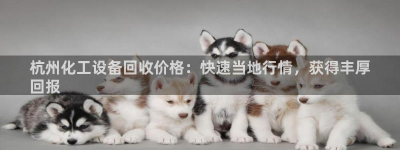 门徒娱乐充值能正常提现吗知乎