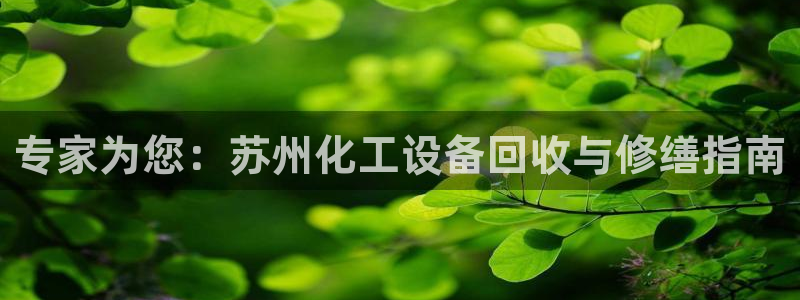 门徒平台布7O777