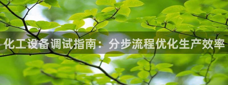 门徒平台官网首页下载