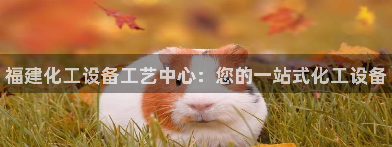 门徒娱乐的员工福利福利与价值