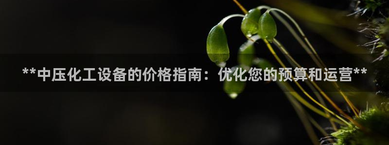 门徒平台使用技巧