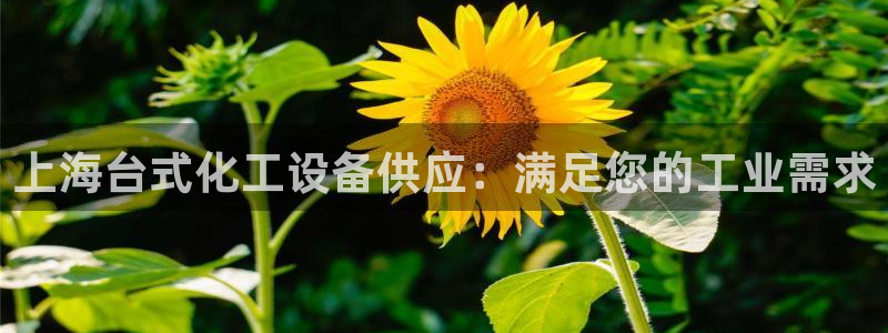 门徒娱乐官网下载