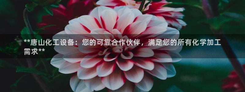 门徒娱乐系3.7.9.9.7 主管