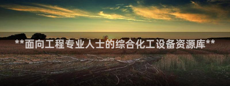 门徒娱乐成功案例分析：**面向工程专业人士的综合化