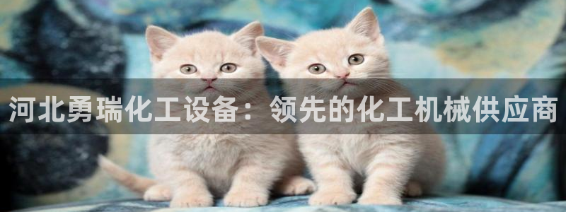 门徒平台测速登入