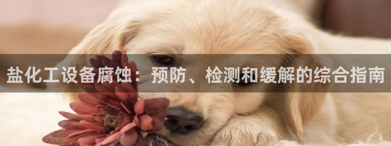 门徒平台家 5O6917 门徒