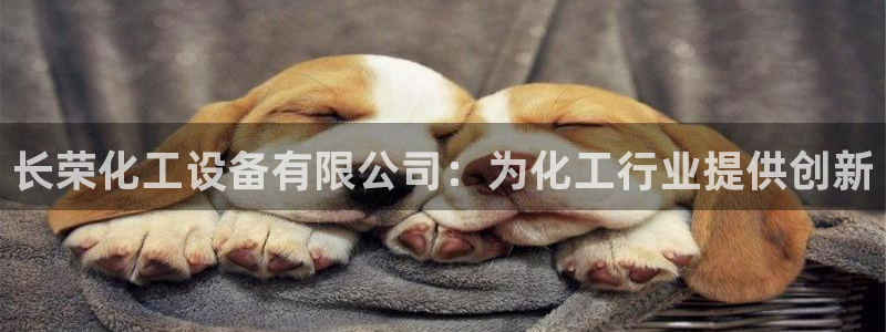 门徒娱乐平台代理登录：长荣化工设备有限公司：为化工