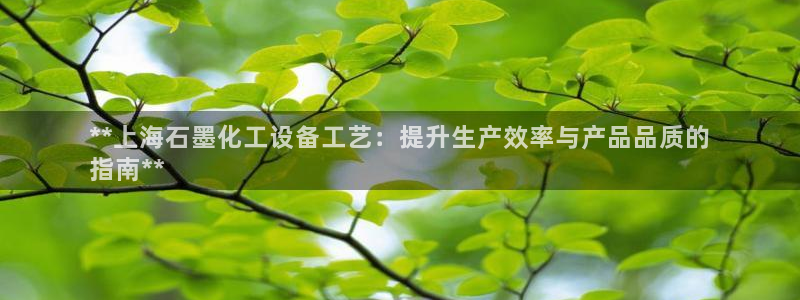 门徒平台登录地址：**上海石墨化工设备工艺：提升生