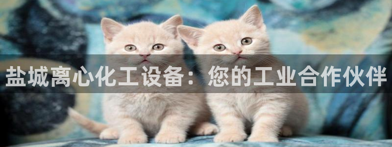 门徒平台测速网址大全：盐城离心化工设备：您的工业合作伙伴