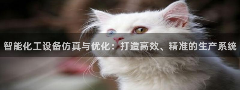 门徒娱乐创始人简介：智能化工设备仿真与优化：打造高效、精准的