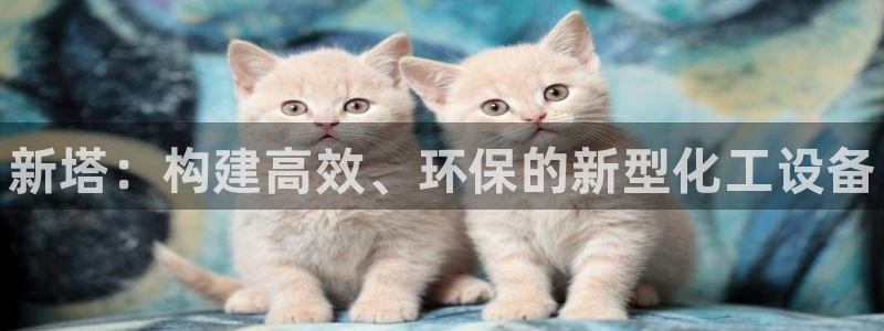 门徒娱乐企业简介