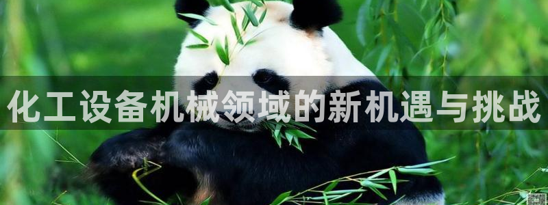 门徒娱乐是做什么的