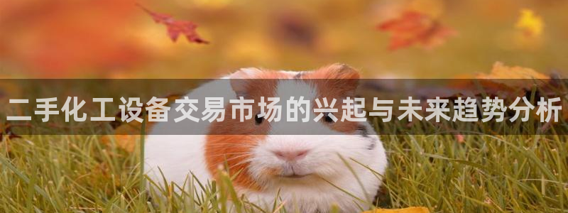 门徒平台开户流程