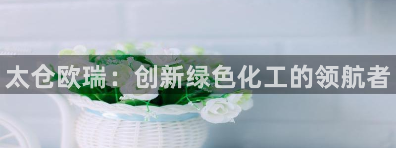 门徒娱乐怎么下载软件